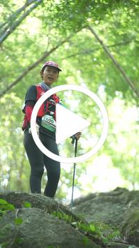 BIB:  <button type="button" onclick="openModal(27934710)" class="btn btn-primary btn-sm float-right" data-toggle="modal" data-target=".modal-high-quality">
                <i class="fa fa-download"></i> Download
                </button>